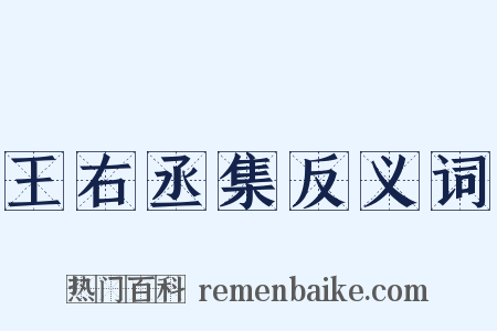 王右丞集反义词是什么意思的图片